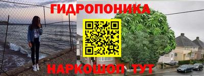 apvp Ставрополь
