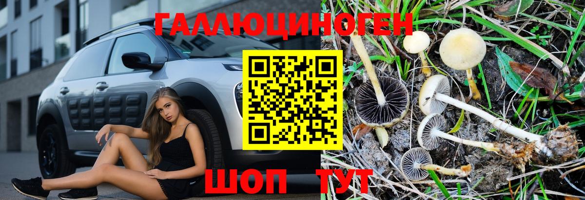 Псилоцибиновые грибы MAGIC MUSHROOMS Югорск