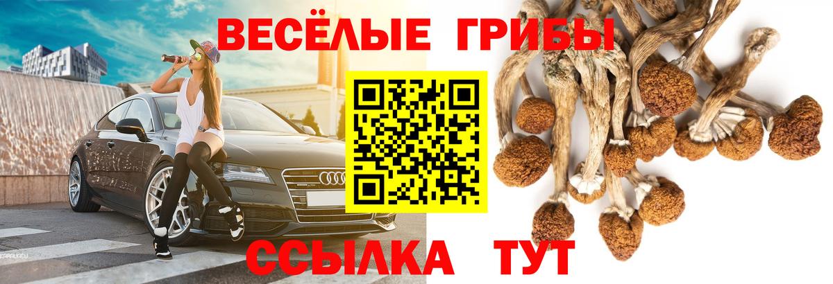 Галлюциногенные грибы Psilocybine cubensis  Вход с VPN  Югорск 